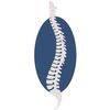 Tudor Court Chiropractic